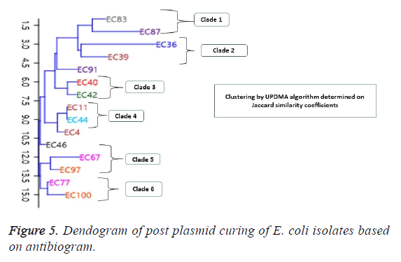 biomedres-post-plasmid-curing