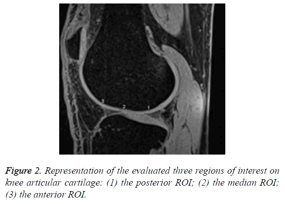 biomedres-posterior-ROI