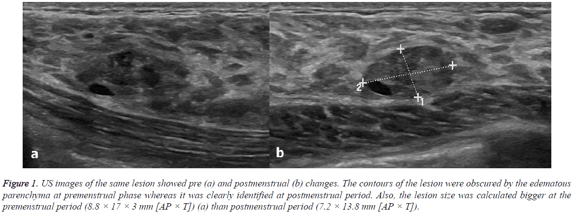 biomedres-postmenstrual-period