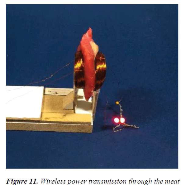 biomedres-power-transmission-through-meat