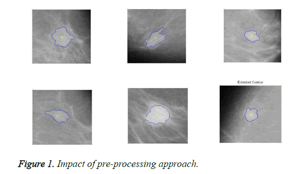 biomedres-pre-processing