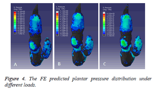 biomedres-predicted-plantar