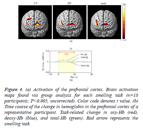 biomedres-prefrontal-cortex