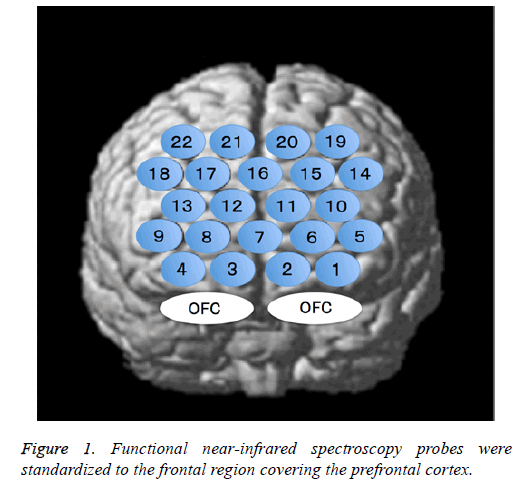 biomedres-prefrontal-cortex