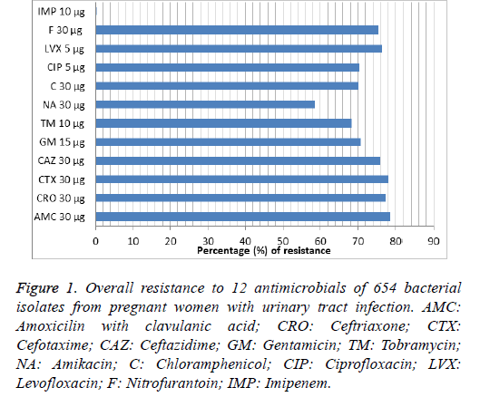 biomedres-pregnant-women