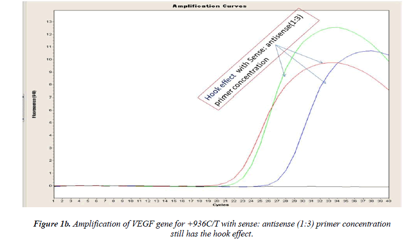 biomedres-primer-concentration