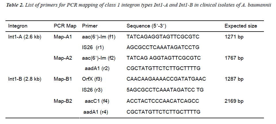 biomedres-primers-PCR-mapping