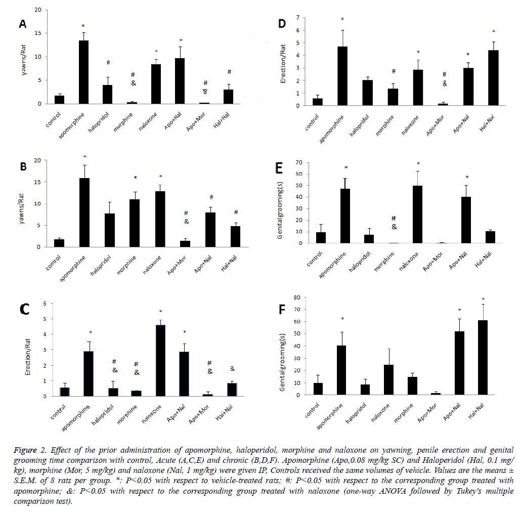 Acute and chronic effects of opiates and dopamine on yawning, penile erection and genital grooming behaviors in male Wistar rats picture