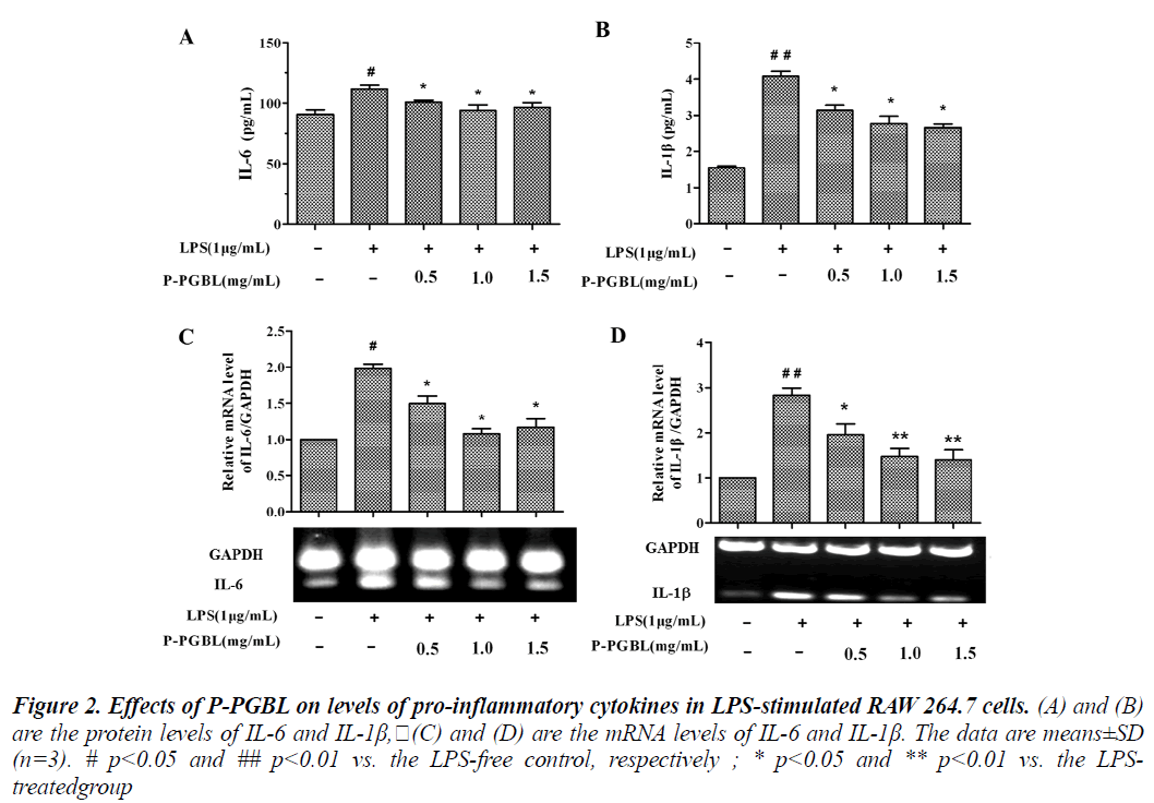 biomedres-pro-inflammatory-cytokines