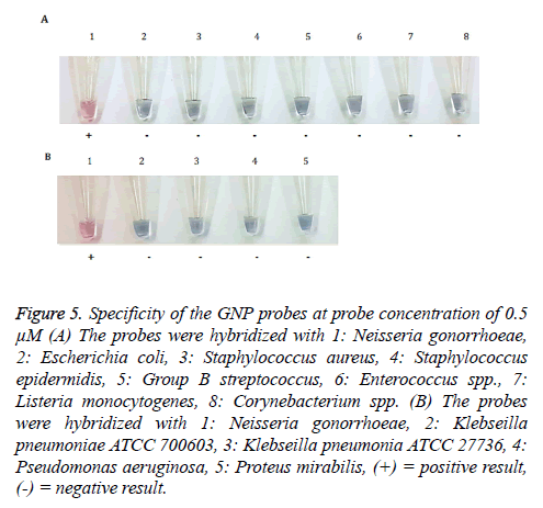 biomedres-probe-concentration