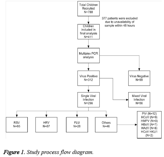 biomedres-process-flow-diagram