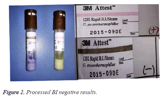 biomedres-processed-BI-negative-results