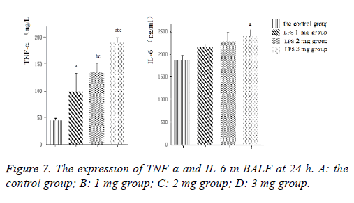 biomedres-product-graph