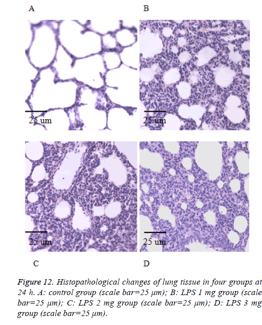 biomedres-product-protein