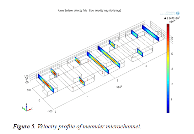 biomedres-profile-meander