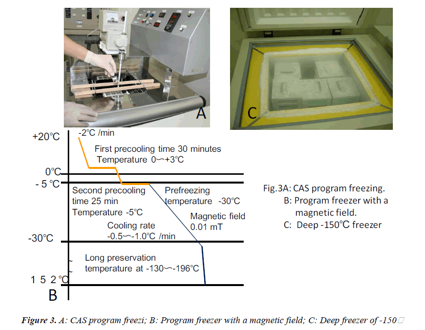 biomedres-program-freezi-magnetic