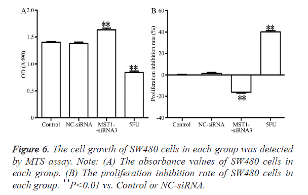 biomedres-proliferation-inhibition