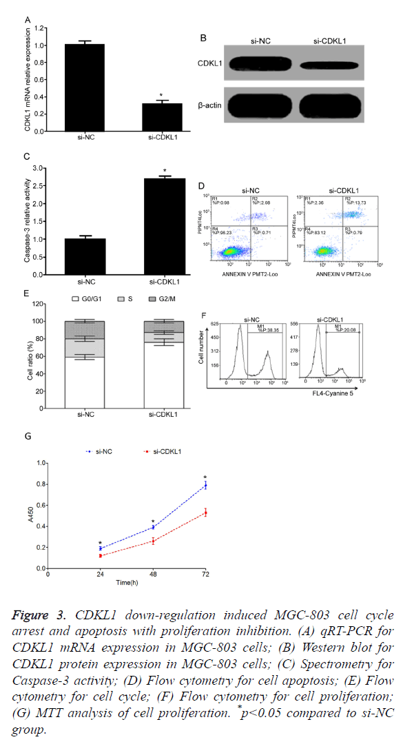 biomedres-proliferation-inhibition