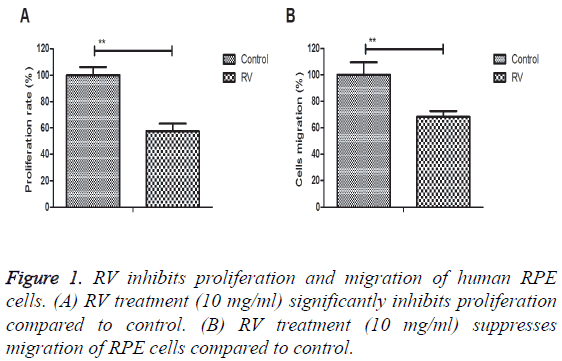 biomedres-proliferation-migration