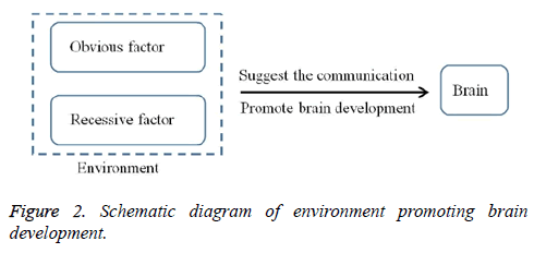 biomedres-promoting-brain