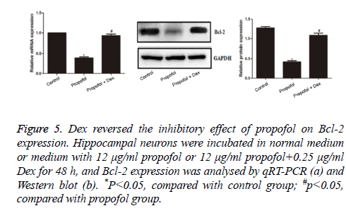 biomedres-propofol-group