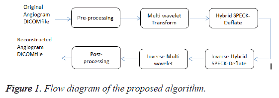 biomedres-proposed-algorithm