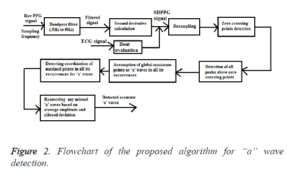 biomedres-proposed-algorithm