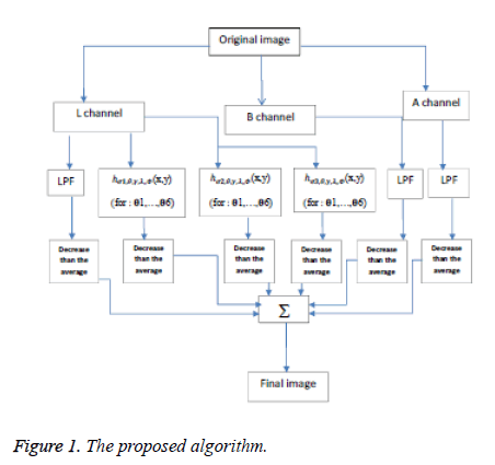 biomedres-proposed-algorithm