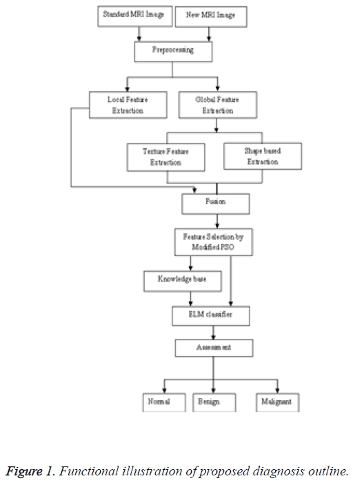 biomedres-proposed-diagnosis-outline