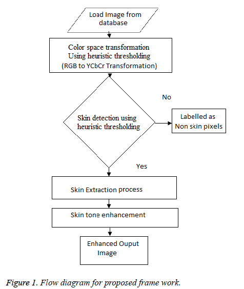 biomedres-proposed-frame-work