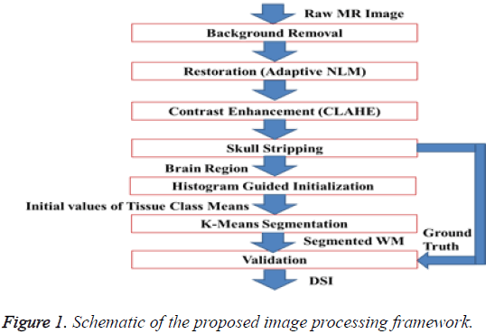 biomedres-proposed-image-processing