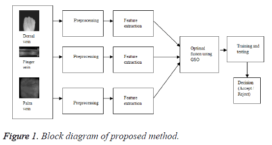 biomedres-proposed-method