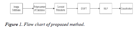 biomedres-proposed-method