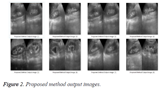 biomedres-proposed-method-output