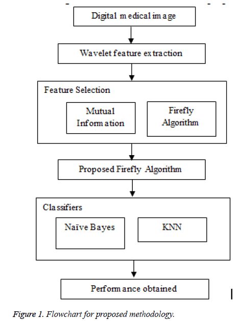 biomedres-proposed-methodology