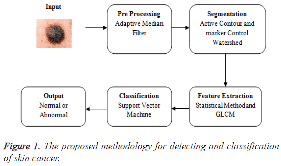 biomedres-proposed-methodology