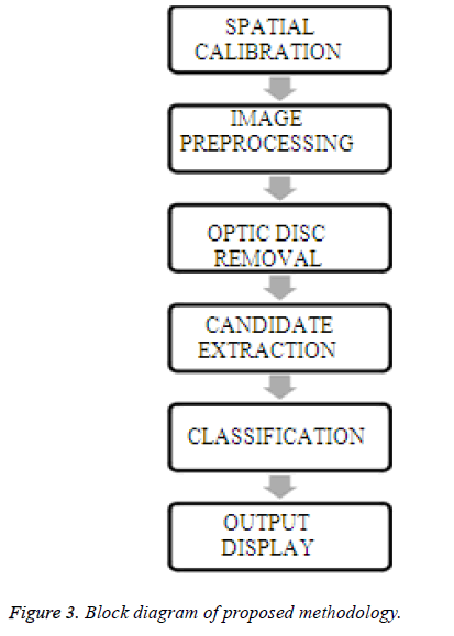 biomedres-proposed-methodology