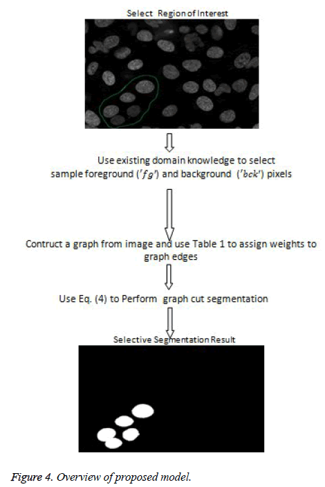 biomedres-proposed-model