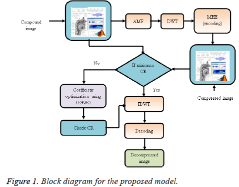 biomedres-proposed-model