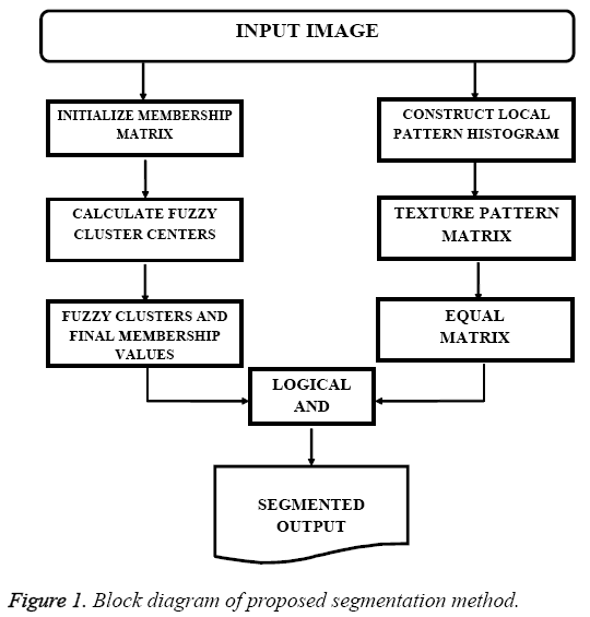 biomedres-proposed-segmentation-method