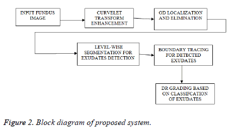 biomedres-proposed-system