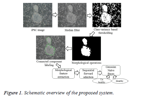 biomedres-proposed-system