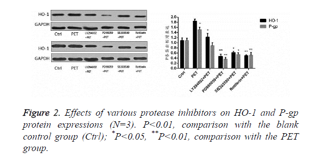 biomedres-protease-inhibitors