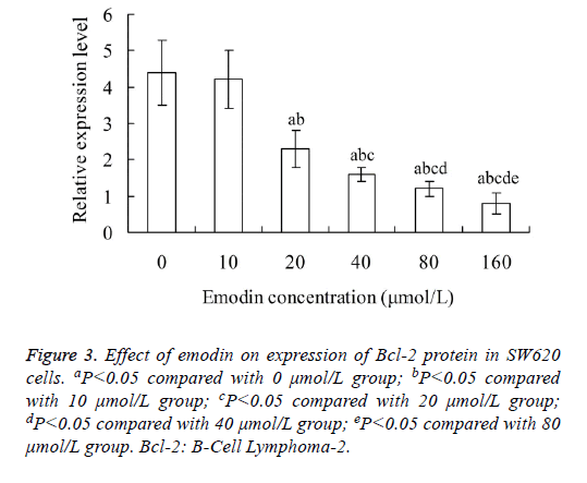 biomedres-protein-apoptosis