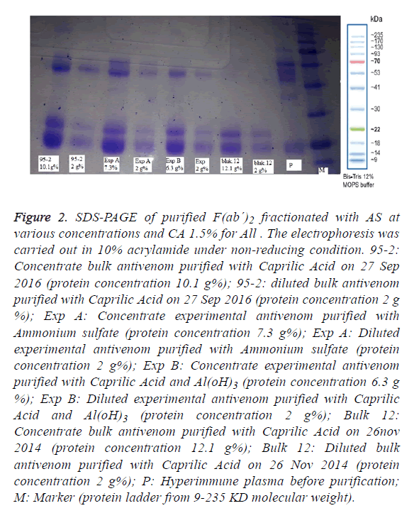 biomedres-protein-concentration