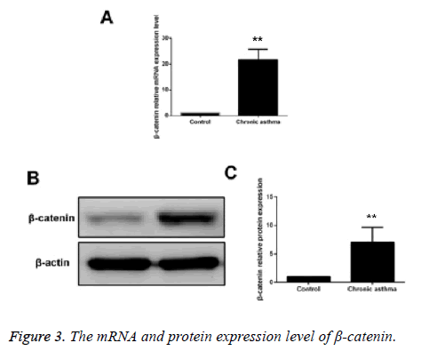 biomedres-protein-expression