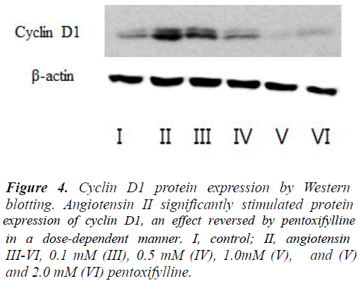 biomedres-protein-expression