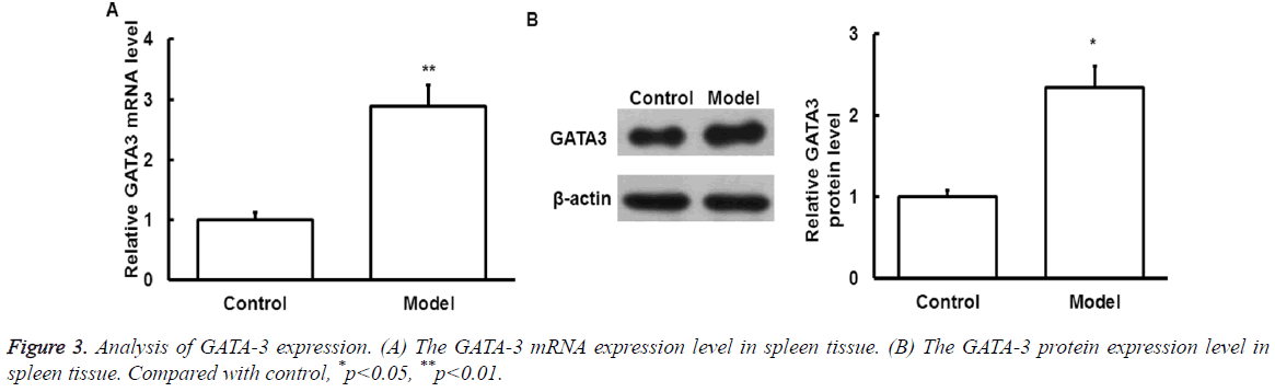 biomedres-protein-expression