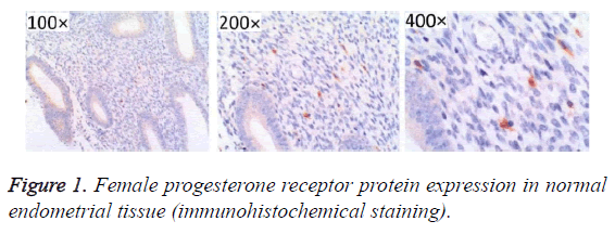 biomedres-protein-expression