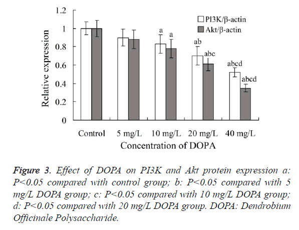 biomedres-protein-expression